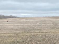 320 Acres of Productive Farmland in the RM #366 Kelvington, SK. - Photo 2