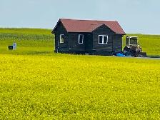 320 Acres of Productive Farmland in the RM #366 Kelvington, SK. - Photo 4