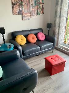 causeuse et fauteuil en cuir