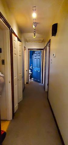 Wood Moulding to give away - Photo 5