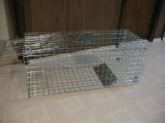 Super Extra Large Live Animal Trap, Brand New
