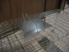 Super Extra Large Live Animal Trap, Brand New - Photo 4