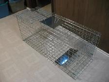 Super Extra Large Live Animal Trap, Brand New - Photo 6