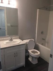 3 bedroom, 2 bathroom with garage and backyard in Westridge! - Photo 4