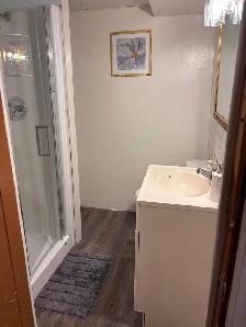1 bed 1 bath basement for rent - Photo 4