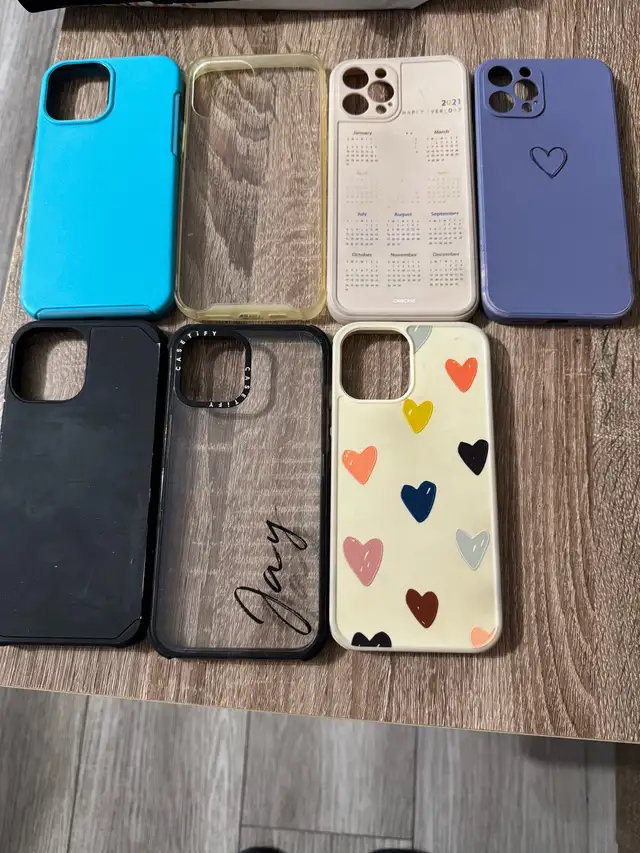Various iPhone 15 Pro Max Phone Cases