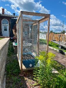 Pet cage - Photo 3