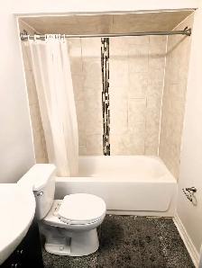 LOVELY BASEMENT 1 BED 1 BATH BRAMPTON - Photo 6