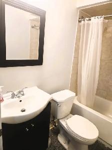 LOVELY BASEMENT 1 BED 1 BATH BRAMPTON - Photo 7