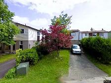 LOVELY BASEMENT 1 BED 1 BATH BRAMPTON - Photo 15
