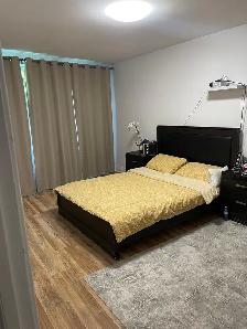 Immediately Available 4 1/2 near Metro University of Montreal