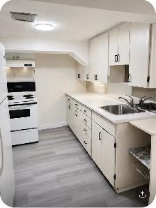 1 Bedroom basement Apt. available from Sept 1st, 2026 in REXDALE - Photo 3