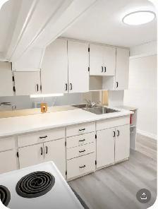 1 Bedroom basement Apt. available from Sept 1st, 2026 in REXDALE - Photo 5
