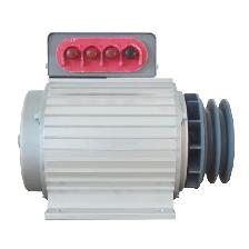 Brushless Rare Earth Permanent Magnet Generator 380V 8KW 056047 - Photo 4