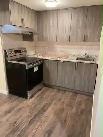 Legal 2 Bedroom Basement in Cornerstone NE Calgary - Photo 4