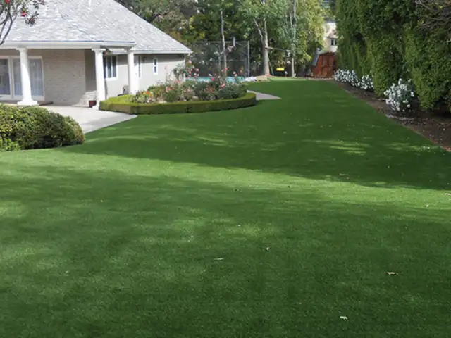 Yard  Maintenance