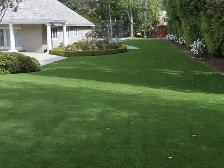 Yard  Maintenance