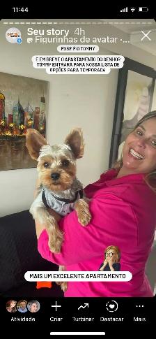 DOG AND CAT CERTIFIED GROOMER - Photo 7