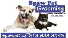 DOG AND CAT CERTIFIED GROOMER - Photo 9