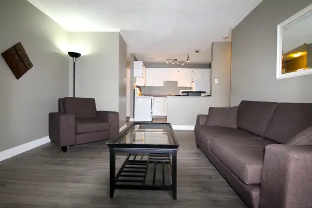 1 Bedroom Furnished Condo, IMMEDIATE - River Heights Great Loc