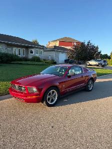 2006 Ford Mustang - Photo 2