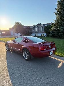 2006 Ford Mustang - Photo 3