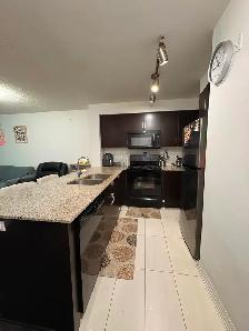 Cloud 9 Condo For Rent From Sept 1, 2026 - Kipling/Albion - Photo 3