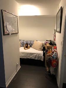 Cloud 9 Condo For Rent From Sept 1, 2026 - Kipling/Albion - Photo 5