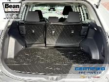 2024 Toyota RAV4 - Photo 5