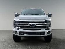 2025 Ford Super Duty F-350 SRW Platinum Plus Tremor - Photo 10