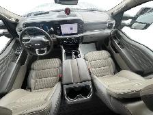 2025 Ford Super Duty F-350 SRW Platinum Plus Tremor - Photo 15