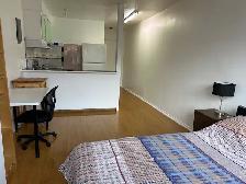 Downtown Near McGill All Included Furnitured Studio for Rent !! - Photo 2