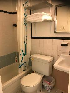 Downtown Near McGill All Included Furnitured Studio for Rent !! - Photo 4