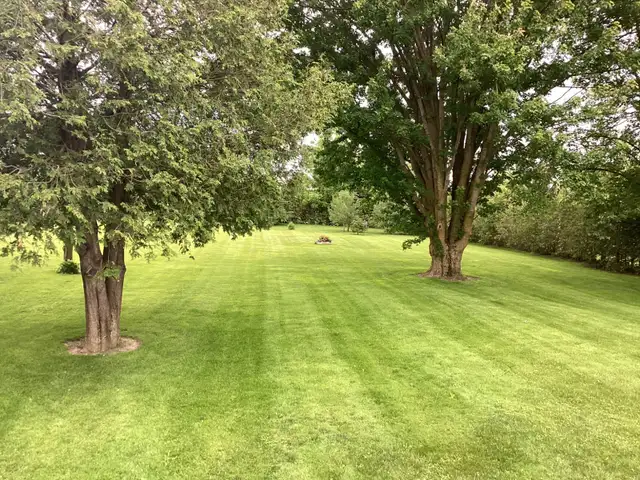 Grass cutting