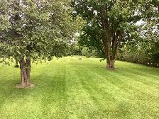 Grass cutting