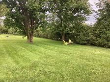 Grass cutting - Photo 2