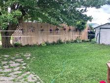 Grass cutting - Photo 3