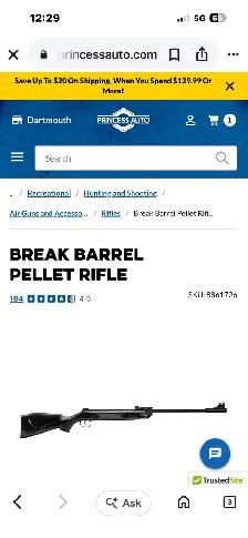 looking for pellet gun