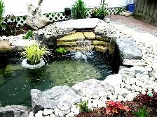 Lawn Maintenance/Landscape Labourer - Photo 5