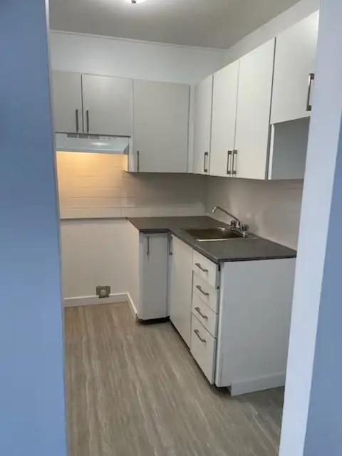 Brossard beau 41/2 rénové libre maintenant ou 1er Septembre