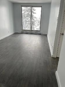 Brossard beau 41/2 rénové libre maintenant ou 1er Septembre - Photo 4