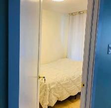 1 Bed 1 Bath Apartment in Halifax - Sept 1st (Female Only) - Photo 2
