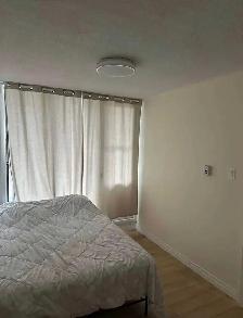 1 Bed 1 Bath Apartment in Halifax - Sept 1st (Female Only) - Photo 3