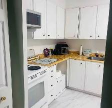 1 Bed 1 Bath Apartment in Halifax - Sept 1st (Female Only) - Photo 6