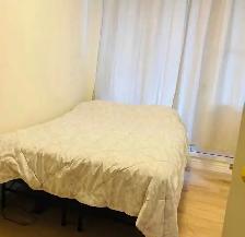 1 Bed 1 Bath Apartment in Halifax - Sept 1st (Female Only) - Photo 7