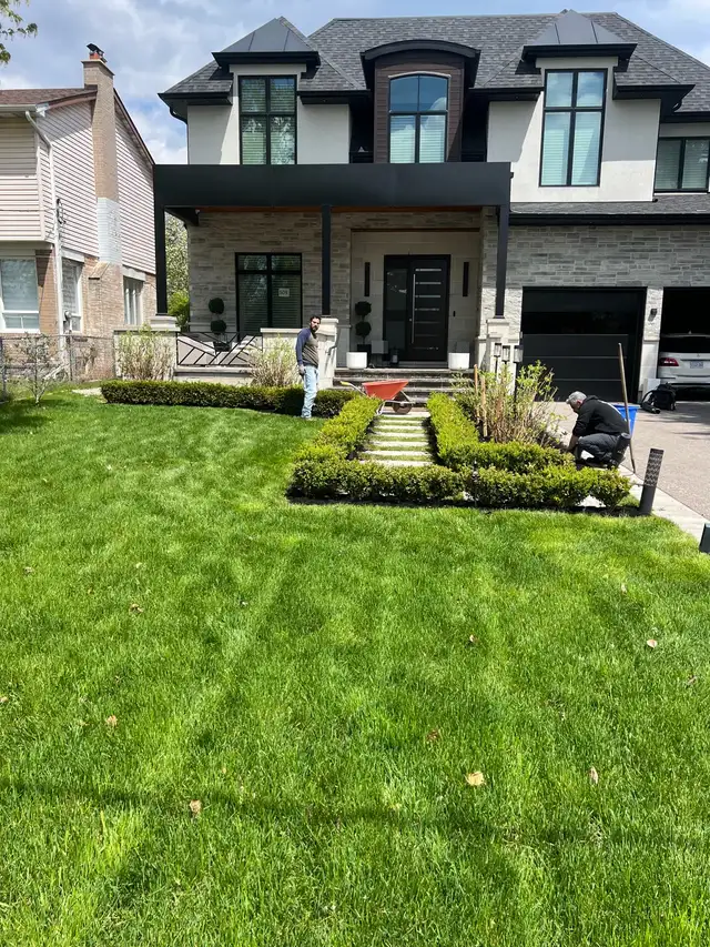 grass cutting and weed control 289–772-7822