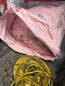 Rockwool  R14(1) Owen Corning pink R19(1) $20 - Photo 2