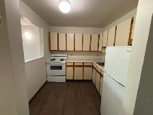 MAPLES – 2 bedroom – September 1 - Photo 2