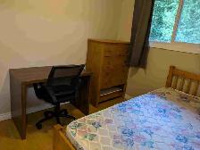 Rooms for rent to students in Waterloo - Photo 10