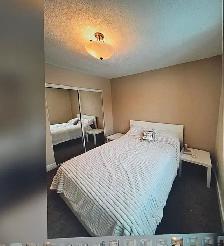 2 BR Condo for Rent in Norwood area - Photo 9